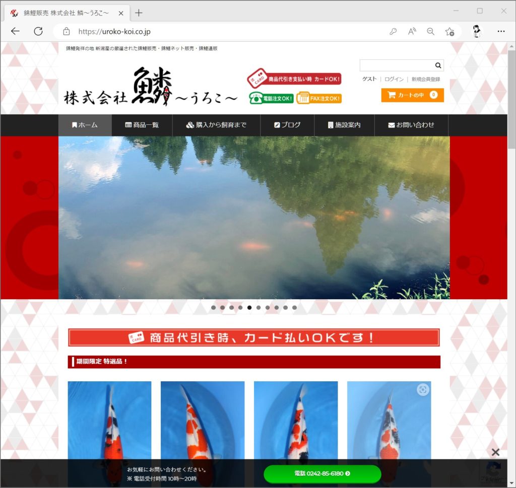 img_uroko-koi